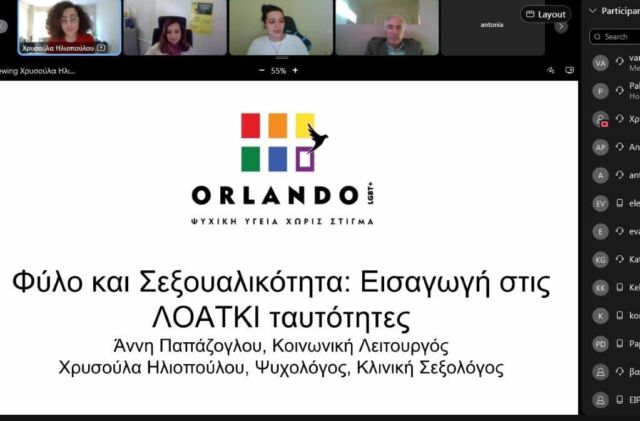 : τα διαδικτυακά παράθυρα του zoom με τα συμμετέχοντα άτομα και η πρώτη σελίδα του powerpoint από την παρουσίασή μας, με τον τίτλο, τα ονόματα των εισηγητριών και το σήμα του Orlando LGBT+